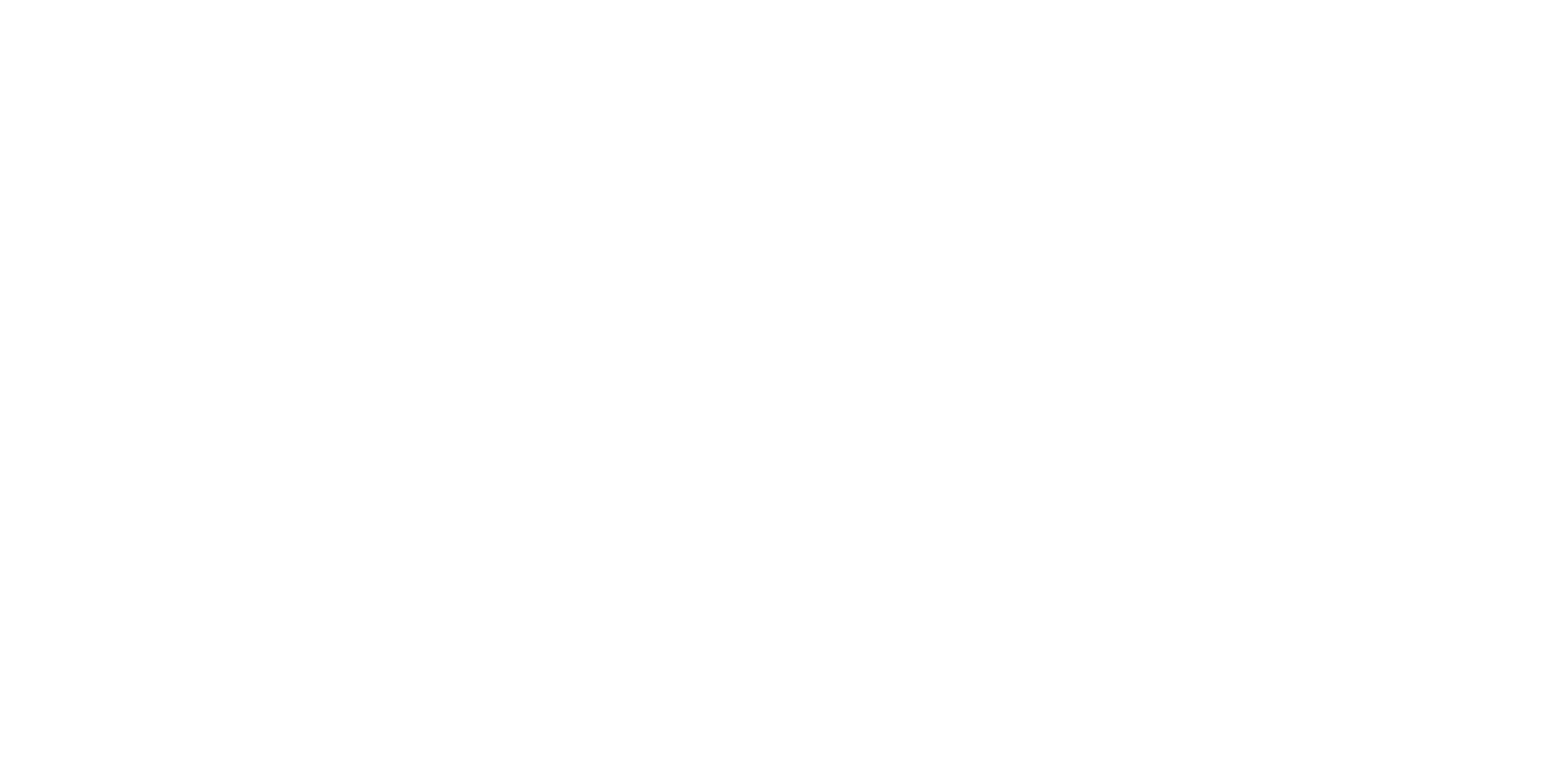 Zydus Pharmaceuticals